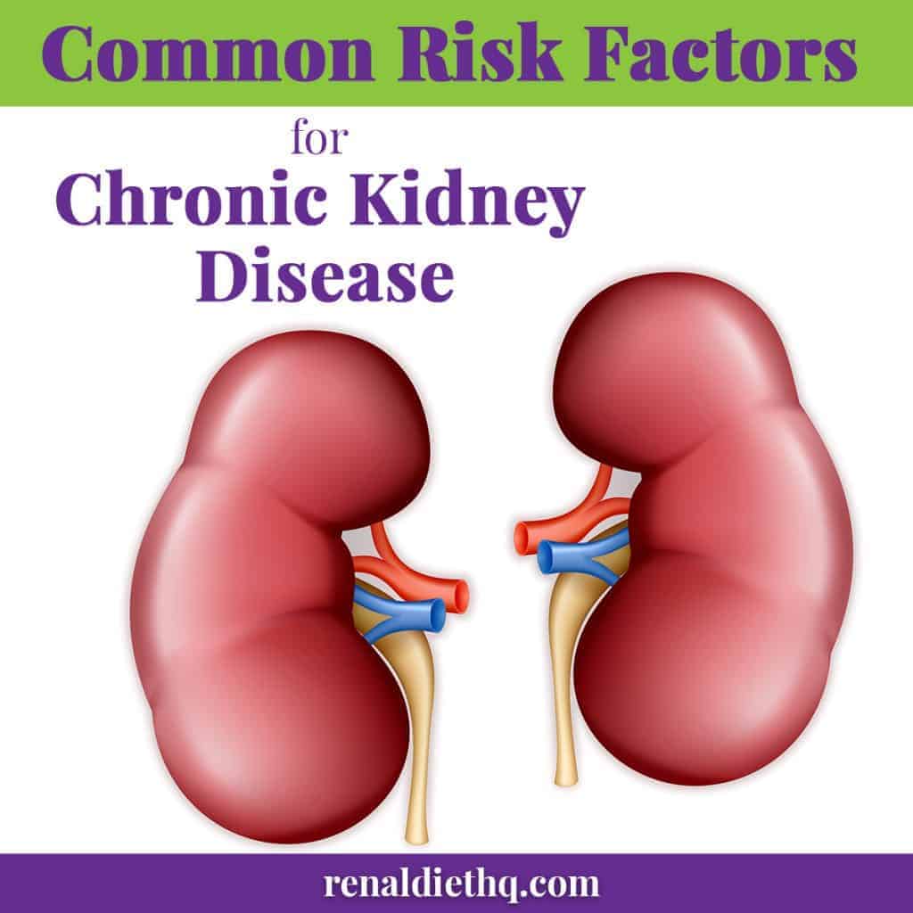 Common Risk Factors for Chronic Kidney Disease - Renal Diet HQ